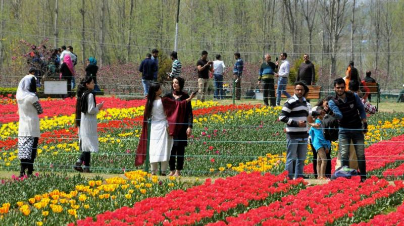 Indira Gandhi Memorial Tulip Garden