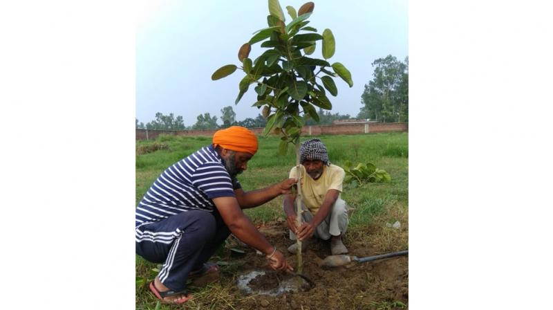 Pala Ram who is nurturing trees as his own children Pala Ram who is nurturing trees as his own children