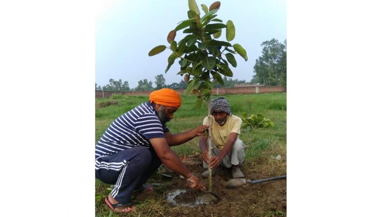 Pala Ram who is nurturing trees as his own children