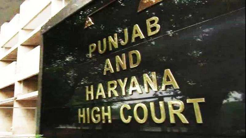 punjab and haryana high court punjab and haryana high court