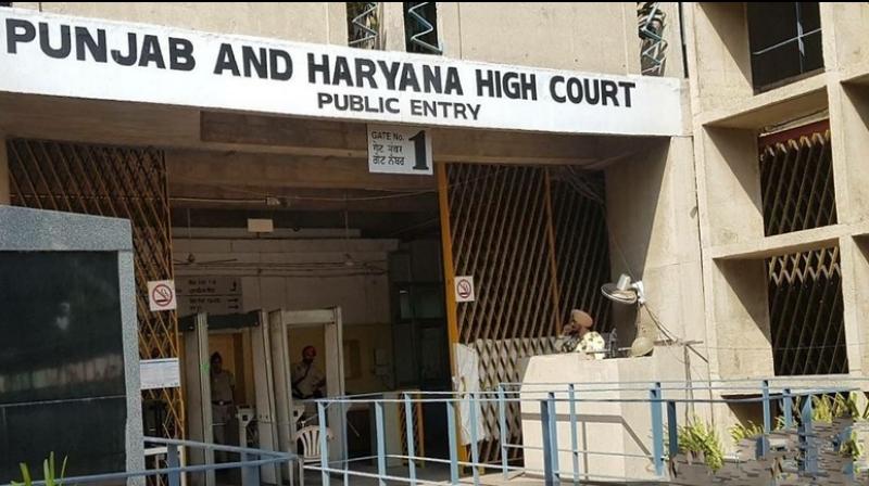 High Court ordered to re-conduct Punjabi test for recruitment of 5994 ETT teachers High Court ordered to re-conduct Punjabi test for recruitment of 5994 ETT teachers