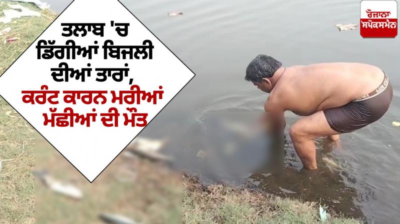 Batala Fish News Batala Fish News
