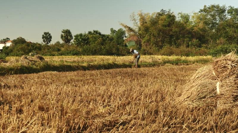 Bhikhiwind government farmers Bhikhiwind government farmers