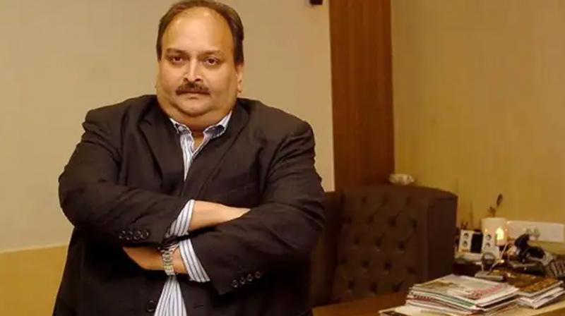  After testing negative for Covid, Mehul Choksi admitted to hospital