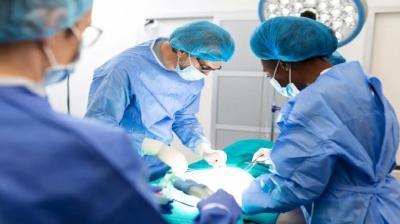  Like lungs, heart and kidneys, hands can now be donated