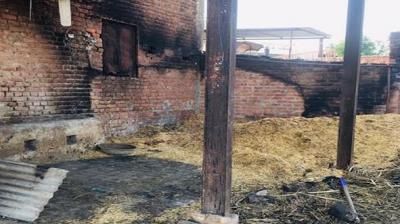 ਵਾੜੇ ਦੀ ਤਸਵੀਰ 