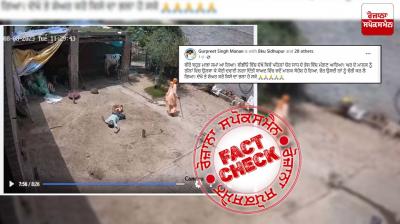 Fact Check Scripted video of cow theif viral as real incident