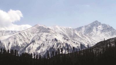 Representative Image.