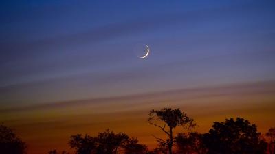 Representative Image.