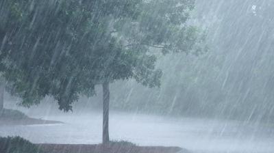 Representative Image.