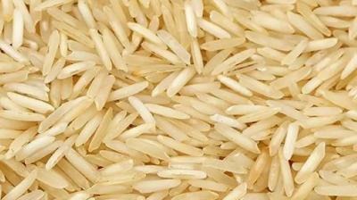basmati rice 