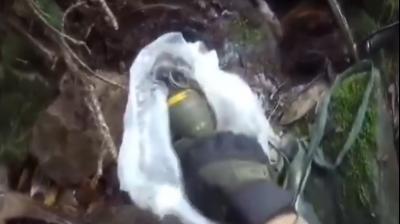 6 hand grenades seized