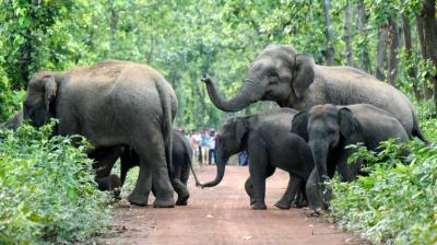 Representative Image.