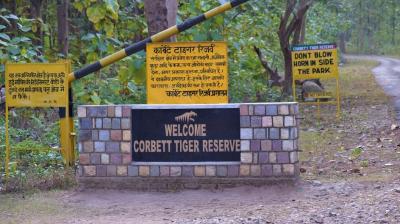 Representative Image.