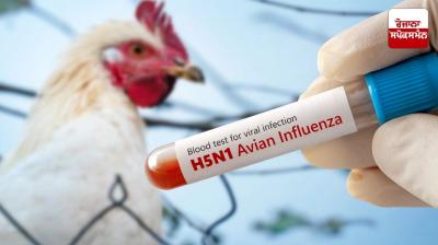 Chicken eaters beware! Center issues bird flu alert in 9 states including Punjab news in Punjabi 