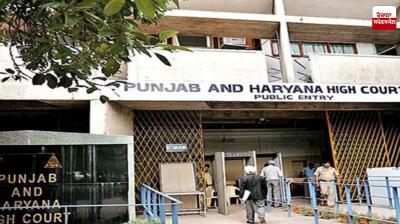 High Court stays lower court order in money laundering case Latest News in Punjabi 