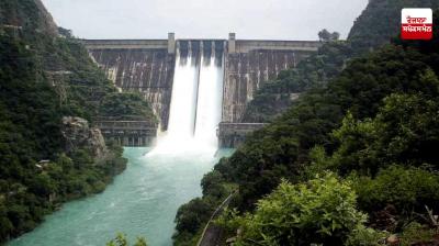 Water level in Bhakra Dam Increased, Level Reached 1584.21 Feet Latest News in Punjabi 