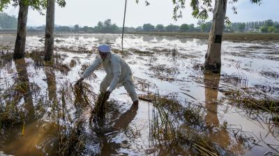 Punjab Floods
