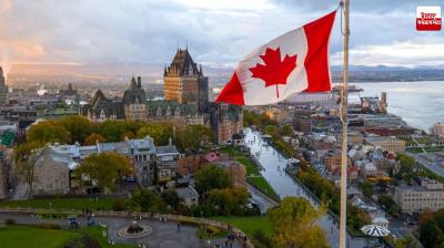 100 Deer Found Dead in Canada Recovered Latest News in Punjabi 