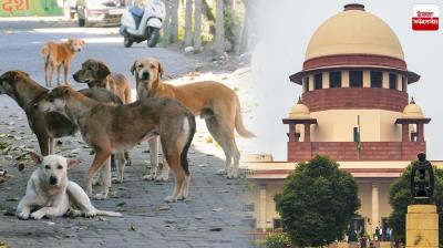 Supreme Court Gives Directions to NHAI In The Case of Stray Animals Latest News in Punjabi 