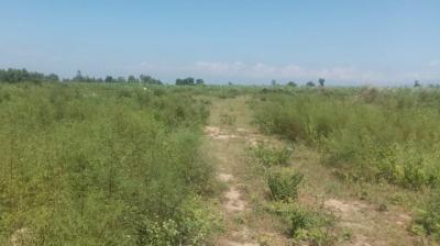 3 sand quarries will be allotted to contractors in Hoshiarpur