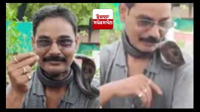 A major incident occurred on International Snake Day, a person catching snakes died due to a snake bite.