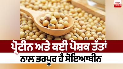 Soybeans are rich in protein and many nutrients Health News