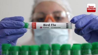 Girl dies of bird flu in Andhra