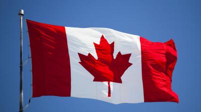 Students going to Canada for a better future should keep these things in mind, otherwise they may be victims of fraud