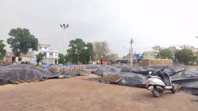 ਮੰਡੀਆਂ ’ਚ ਲੱਗ ਗਏ ਫ਼ਸਲ ਦੇ ਅੰਬਾਰ