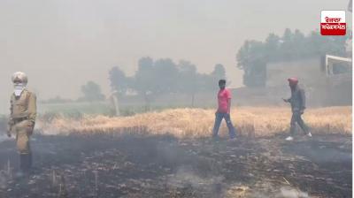 ਮੋਗਾ ਅਤੇ ਬਾਘਾਪੁਰਾਣਾ ’ਚ ਅੱਗ ਨੇ ਮਚਾਈ ਤਬਾਹੀ