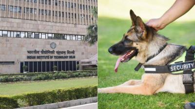  IIT-Delhi's ad for dog handler's