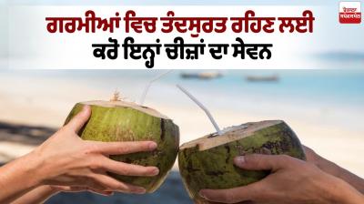 Consume these things to stay healthy in summer  Heath News