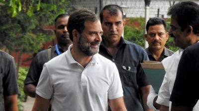 Rahul Gandhi (File Photo)
