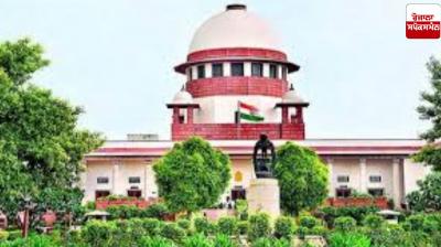 Supreme Court to hear stray dog case on October 27 Supreme Court to hear stray dog case on October 27