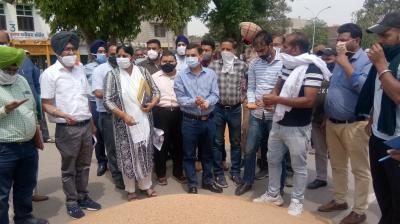 Punjab procures 86 % of Wheat arrived so far in Mandis