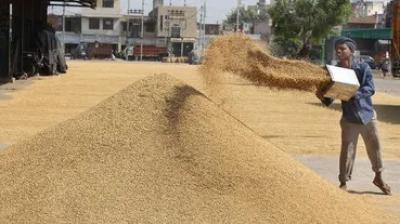 Preparation for purchase of 185 lakh tons of paddy from the markets of Punjab