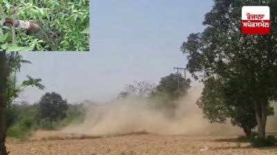 ਹਿਮਾਚਲ ਪ੍ਰਦੇਸ਼ ਦੇ ਸਨੋਰ ’ਚ ਮਿਲੀ ਬੰਬਨੁਮਾ ਚੀਜ਼, ਮੌਕੇ 'ਤੇ ਪਹੁੰਚੀ ਭਾਰਤੀ ਫੌਜ, ਜਾਣੋ ਭਾਰਤੀ ਫੌਜ ਨੇ ਕਿਵੇਂ ਕੀਤਾ ਤਬਾਹ