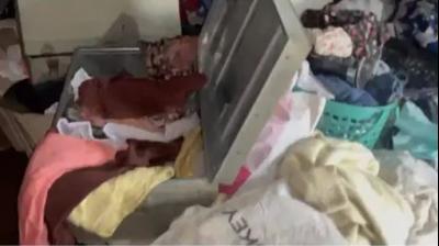 Thief stolen jewelry and cash