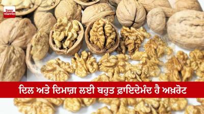 Walnuts are very beneficial for the heart and mind