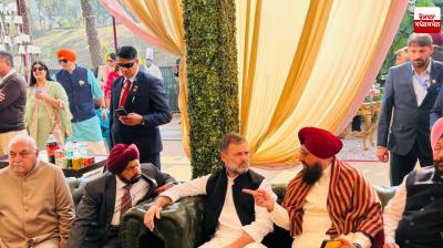 Rahul Gandhi arrived in Chandigarh to attend the wedding