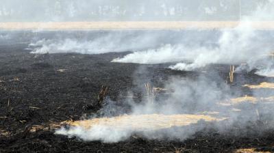 Image: For representation purpose only. 