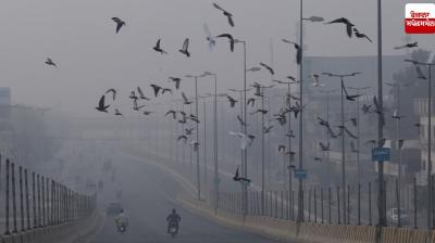 Punjab Weather Update