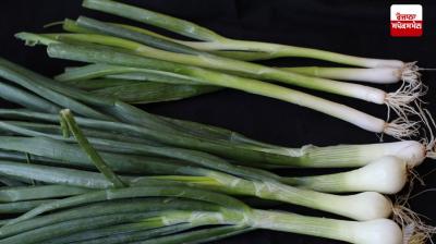 Green onion is very beneficial for weight loss and health