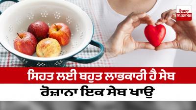 Apple is very beneficial for health, eat an apple daily