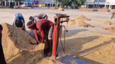 ਖੰਨਾ ਦਾਣਾ ਮੰਡੀ ਵਿਚ ਝੋਨੇ ਦੀ ਹੋ ਰਹੀ ਖਰੀਦ 