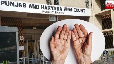 Kalyugi's son does not want to give money to the elderly mother punjab haryana highcourt