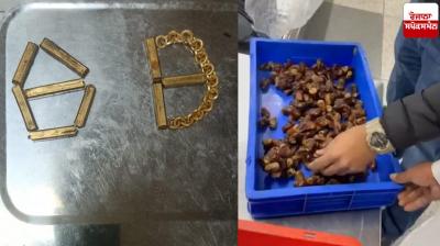 The customs department seized gold worth 13 lakhs at Delhi's IGI airport News in punjabi 