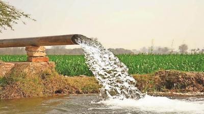 Who is responsible for the waste of underground water in Punjab? 