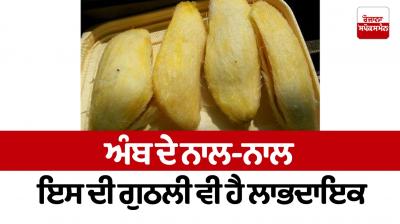 Along with mango, its kernel is also useful Health News